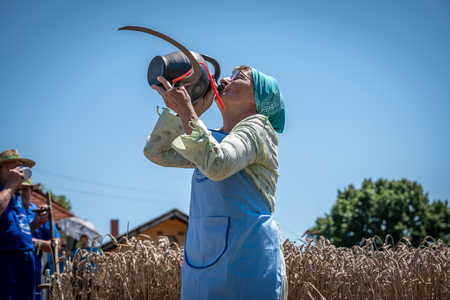 Dobrovnik - 2000 semen - ZETEV 2025-1174800